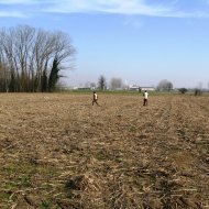un breton in azione